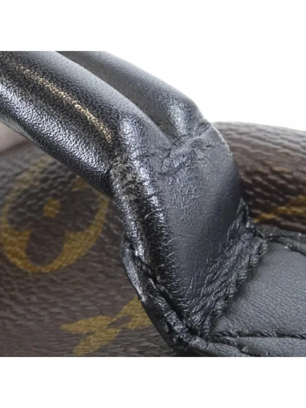 Louis Vuitton Monogram World Tour Palm Springs Backpack